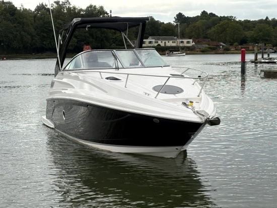 Regal 28 Express brand new for sale