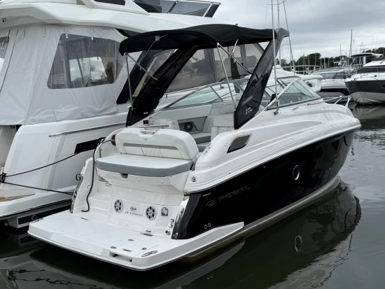 Regal 28 Express brand new for sale