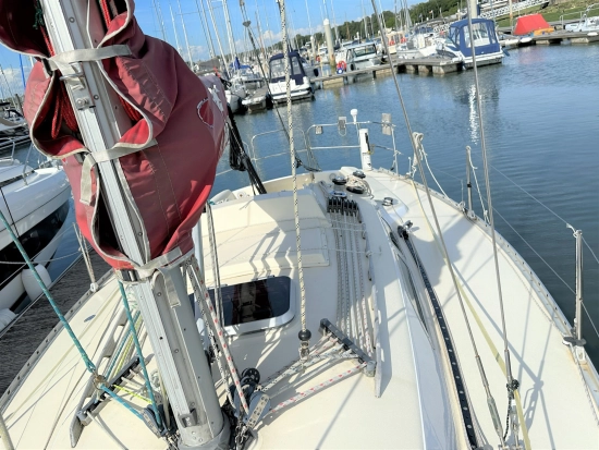 Contessa 33 preowned for sale