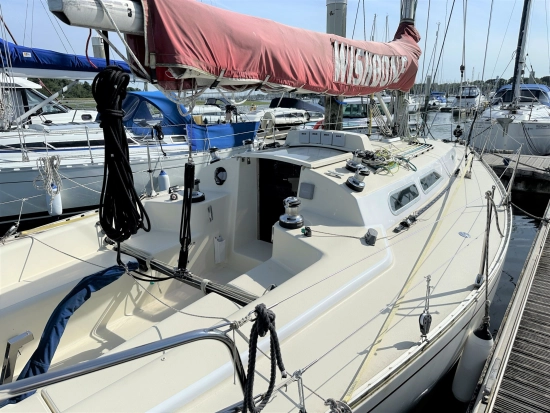 Contessa 33 preowned for sale