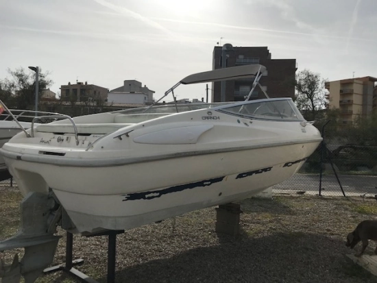 Cranchi Elipse 21 preowned for sale