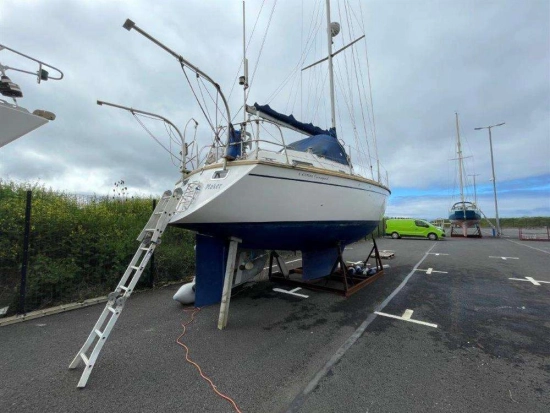 WESTERLY MARINE WESTERLY 34 OCEAN QUEST d’occasion à vendre