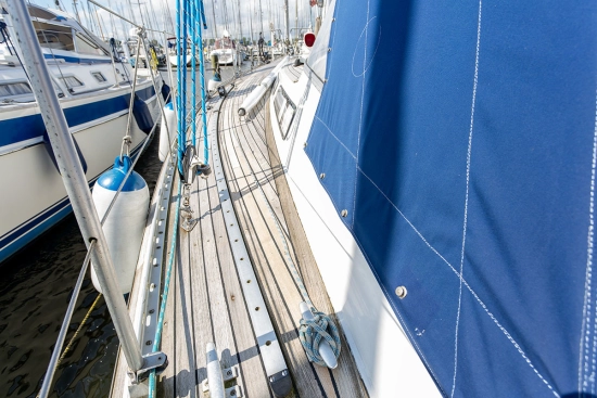 Trintella 42 preowned for sale